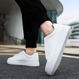 Bernardo - Stile Moderno E Comfort Supremo