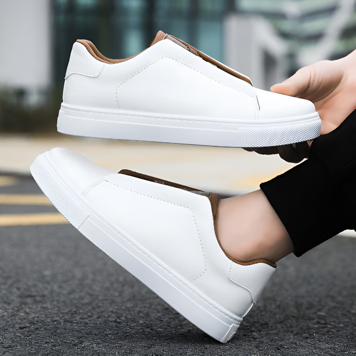 Bernardo - Stile Moderno E Comfort Supremo